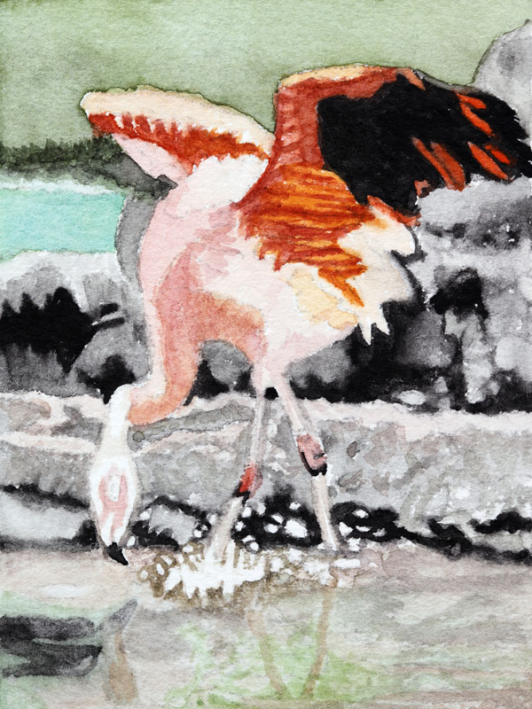 Flamingo, Nicole Hörold
