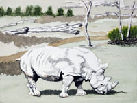 White Rhino, Nicole Hörold